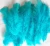 Import Craft Turkey Feathers for crafts and home decorations from China