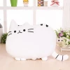 Creative cute biscuit cat pillow can be customized logo big face cat toy pillow