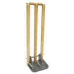 Cricket spring stumps