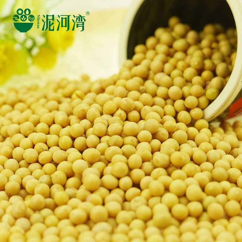crop Chinese High protein yellow soybean soya beans / soy bean for sale