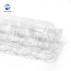 Custom 10 Holes clear plastic pigeon egg carton blister packaging square plastic egg cartons hot sale