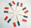 custom design france flag wooden toothpicks
