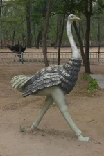 Custom Fiberglass Ostrich Animal Statue Sculpture Life Size Ostrich Birds Statue  Sculpture For Park And Garden Decoration