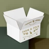 Custom Logo Brand Printed Corrugated Cardboard Paper Packaging Mailing Shipping Solid Carton Box