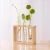 Import custom logo home office desktop glass vases flower plant terrarium with wooden stand for home decor from China