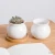 Import Custom  mini white cheap plant pot bamboo tray small flower pot ceramic succulent pot with saucer from China