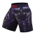 Import Custom sublimation mma fighting shorts men Martial Arts Wear plus size shorts from China