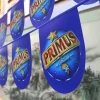 Customized Wholesale String Flags Small Flags Digital Printing Bunting Different Country Mini Flag