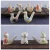 Import cute cheap animal shape kids toy funny sound pigeon water ceramic clay bird whistle from China