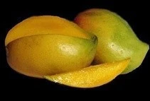 Dashri Mango