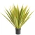 Import Decorative Plants Wholesale artificial plant factory  fake sisal hemp in plastic pot Garden Decor from China