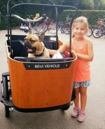 Denmark popular electric bike cargo trailer