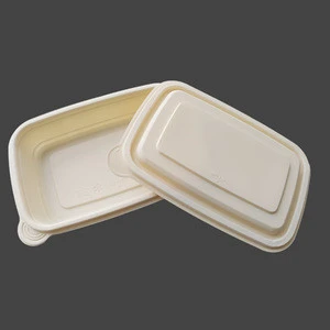 Disposable Lunch Box Disposable Biodegradable Fruit Food Serving Tray