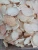 Import DRIED CRAB SHELL/CRAB SHELL/SEA SHELL POWDER FOR FEED, CHITIN, MEDICINE, FERTILIZER from Vietnam