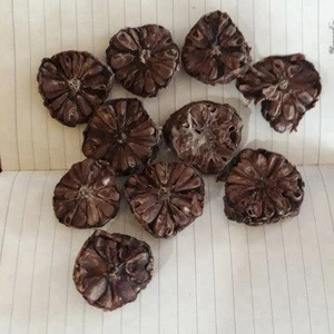 DRIED NONI FRUIT FROM VIETNAM BEST PRICE, FAST DELIVERY, FLEXIBLE PAYMENT METHOD