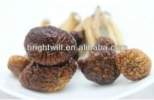 Dried Tea Tree Mushroom/Agrocybe Aegerita/ Dried Mushroom, Chashugu, Edible Fungus