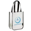eco-friendly cheap promotional shopping pp non woven bag