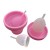 Import Eco Friendly Durable  Foldable Reusable Cup Silicone Collapsible Sterilizer for Menstrual Cups from China