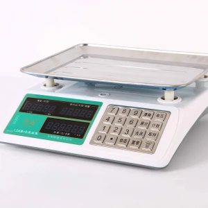 electronic digital scale
