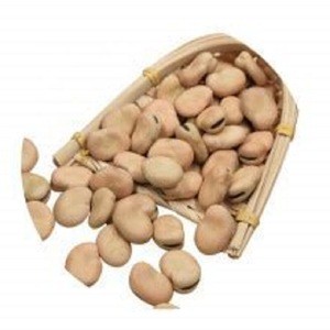 ExportFava beans Horse beans Broad Beans