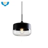 Factory Price Hot Selling Modern Glass Pendant Lamp Wire Hanging Light