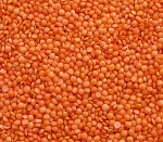 Factory price Whole/Split Red Lentils Suppliers