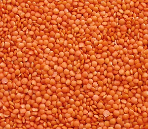 Factory price Whole/Split Red Lentils Suppliers