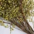 Import Factory wholesale decorative designed flower dried flower millet fruit eucalyptus for house decoration from China