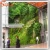 Import Factory Wholesale Garden Landscaping &amp; Decking Artificial Grass Wall Plastic Grass green wall vertical planter from China