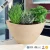 Import fashionable plain round coloful balcony decorative nursery reasonably priced plastic flower pot recycled high quality factory from China