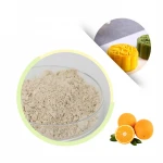 Fast Delivery Fruit Powder Drink Raw Materials Fruit Concentrate Powder Health Supplement Freeze Dried Dragon Fruit Powder Adult