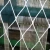 Import fencing sport fencing equipment sport from Hong Kong