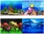Import Fish Tank Background Drawing Paper High Definition Picture 3D Decoration Sticker Wallpaper Aquarium Landscape Painting from China