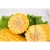 Import Fresh canned sweet corn 220g with vacuum bag for instant food from China
