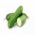 Import Fresh Clean  cucumber/ Green cucumber from Canada