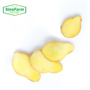 Fresh ginger supplier for ginger export