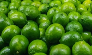 Fresh High Quality Green Seedless Persian Lime