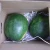 Import Fresh Juicy Watermelons Best Quality Watermelons from South Africa