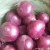 Import fresh onions from Pakistan