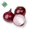 fresh small red onion