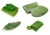 Import Frozen and Fresh Banana Leaf/Banana Leaf for wholesale from Vietnam