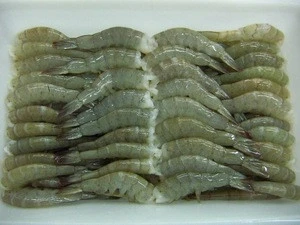 Frozen Raw Vannamei Shrimp, headless, shell-on (703)