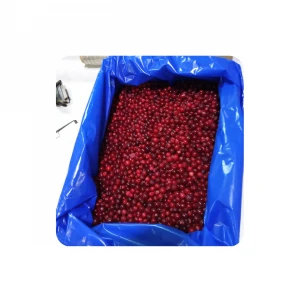 Frozen wild cranberries fruit, buy wholesale