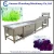 Import full automatic bubble vegetable washer from China