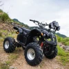 Fully automatic 125cc Snowmobile/snow ATV/snow shovel ATV 125cc