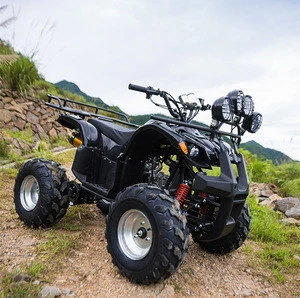 Fully automatic 125cc Snowmobile/snow ATV/snow shovel ATV 125cc