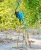 Import garden decoration Artificial Peacock Birds from China
