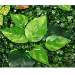 Garden Home UV Protected Plastic Plant Grass Wall Backdrop Panel Outdoor Decor Artificial Hedge Fence Green Plant Grass Wall