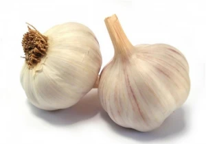 garlic , fresh garlic , white garlic