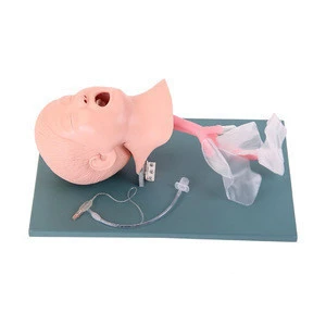 good Medical Teaching Aids Educational for children kids tracheal intubation model half-length training simulator
